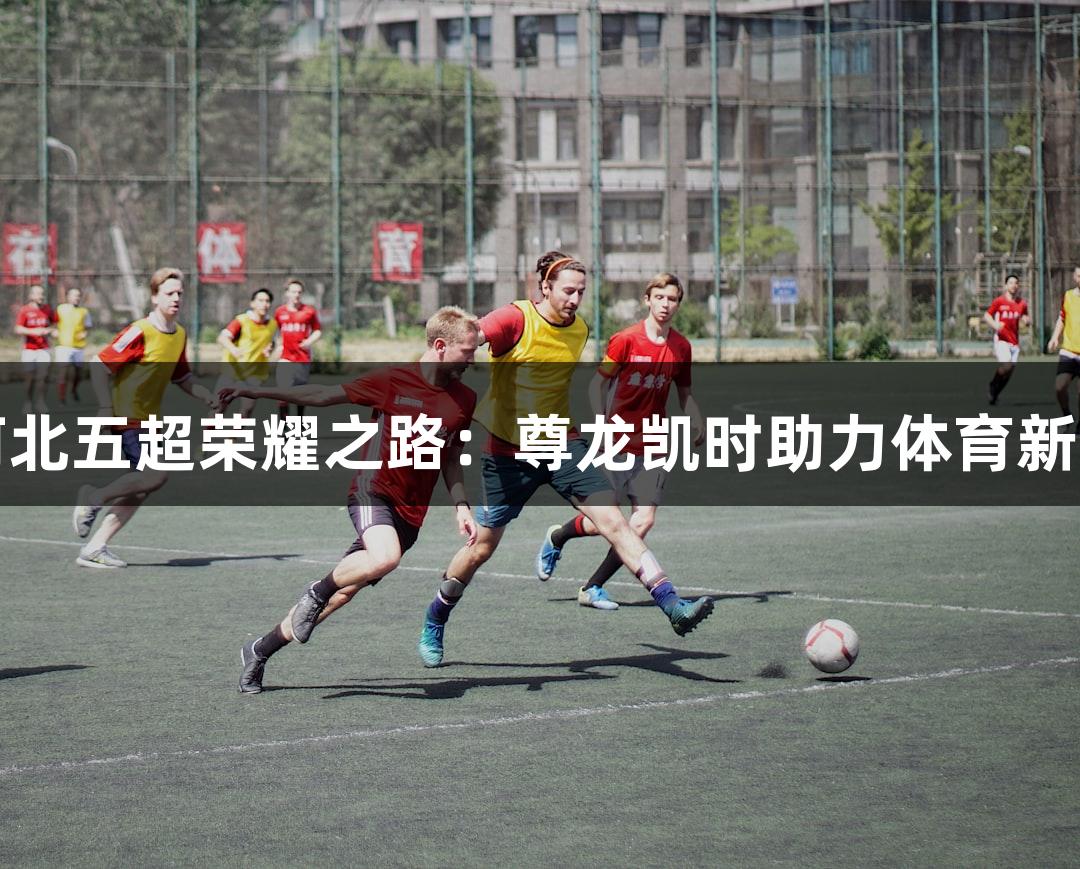 河北五超荣耀之路：尊龙凯时助力体育新篇