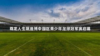 尊龙人生就是博中国区青少年足球冠军赛启幕