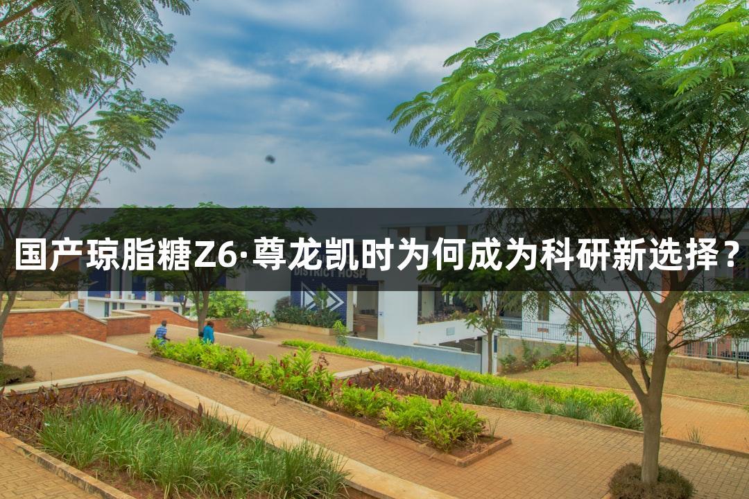 国产琼脂糖Z6·尊龙凯时为何成为科研新选择？