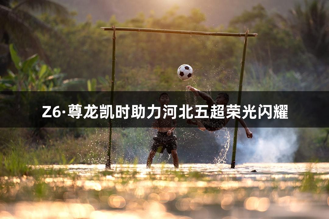 Z6·尊龙凯时助力河北五超荣光闪耀