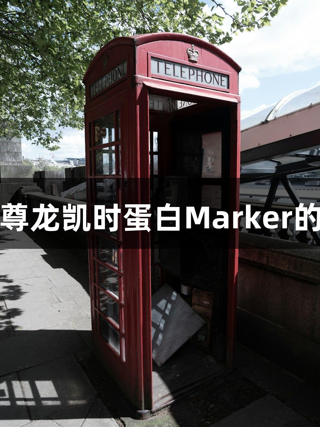 选用尊龙凯时蛋白Marker的技巧