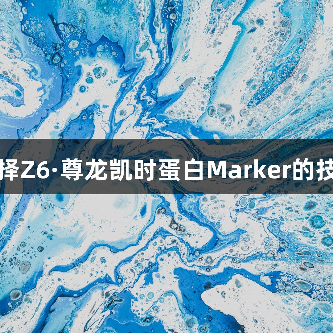 选择Z6·尊龙凯时蛋白Marker的技巧