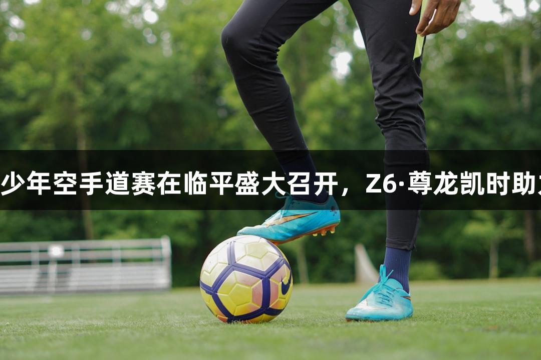 亚洲14国青少年空手道赛在临平盛大召开，Z6·尊龙凯时助力体育盛事。