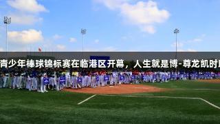 2025年U15青少年棒球锦标赛在临港区开幕，人生就是博-尊龙凯时助力梦想实现