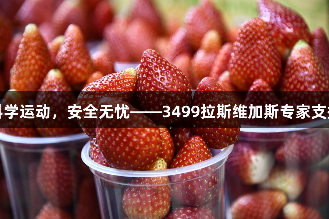 科学运动，安全无忧——3499拉斯维加斯专家支招