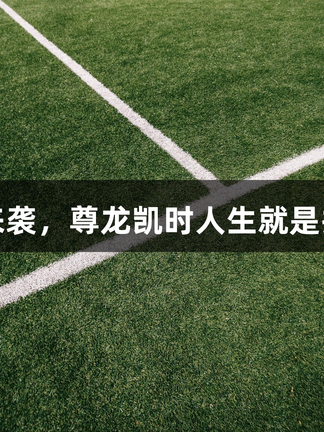 河北五超火热来袭，尊龙凯时人生就是搏助阵体坛名将