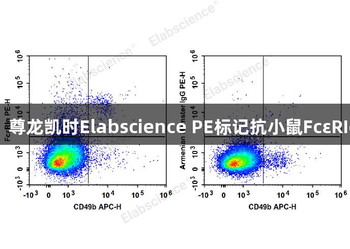 聚焦过敏反应研究：尊龙凯时Elabscience PE标记抗小鼠FcεRIα抗体助力流式分析