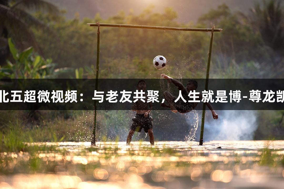 河北五超微视频：与老友共聚，人生就是博-尊龙凯时