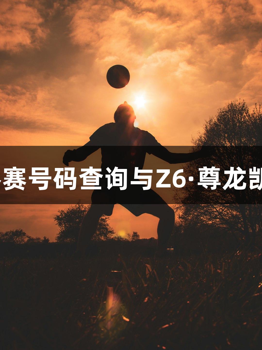 2025太马参赛号码查询与Z6·尊龙凯时共享激情