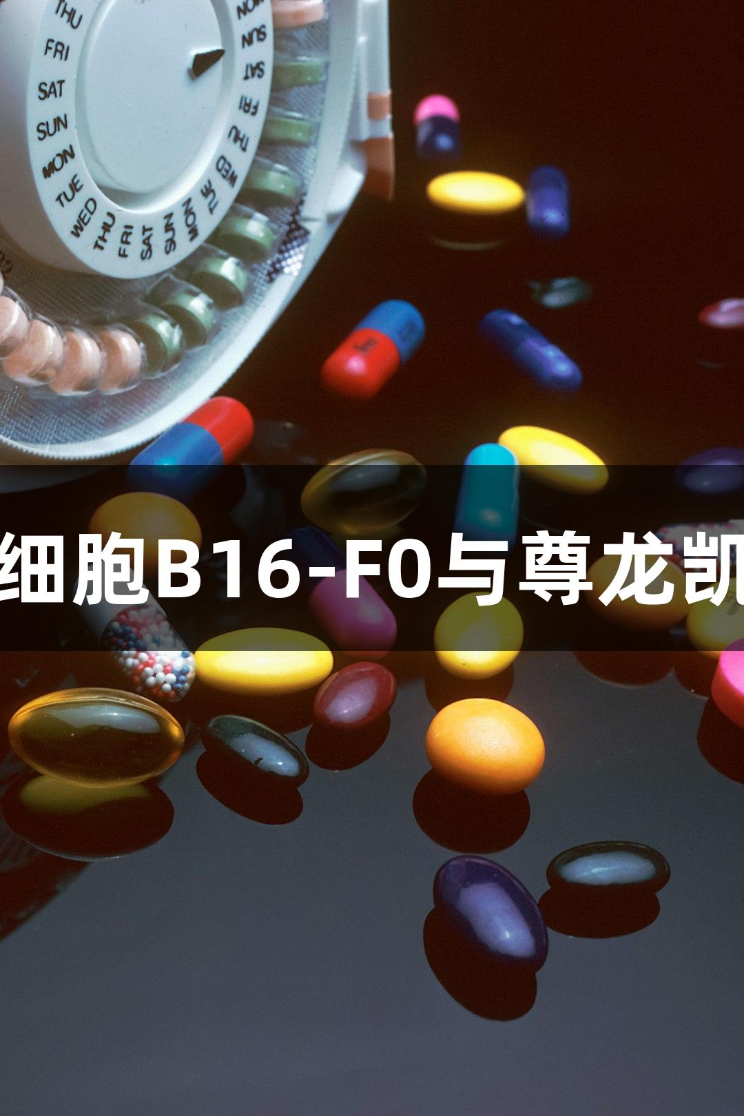 小鼠黑色素瘤细胞B16-F0与尊龙凯时的创新研究