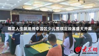 尊龙人生就是博中国区少儿围棋定段赛盛大开幕