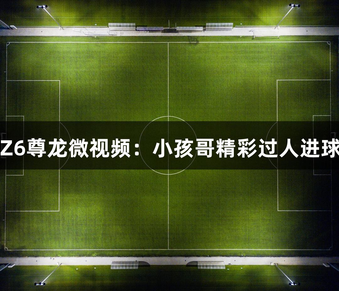 Z6尊龙微视频：小孩哥精彩过人进球