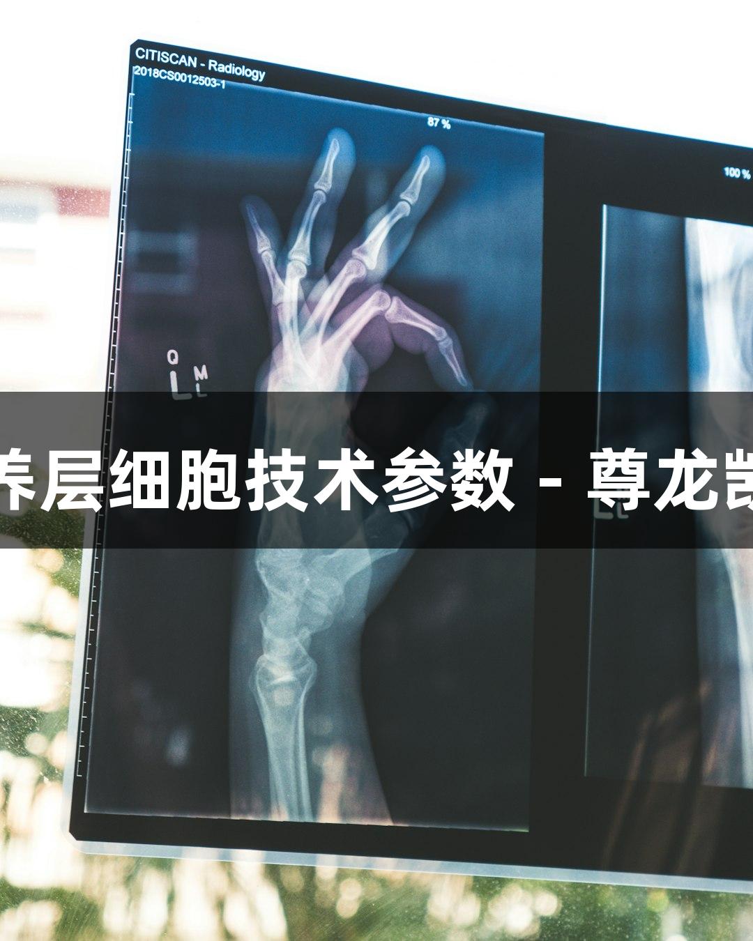 羊原代胎盘绒毛膜滋养层细胞技术参数 - 尊龙凯时生物医疗解决方案