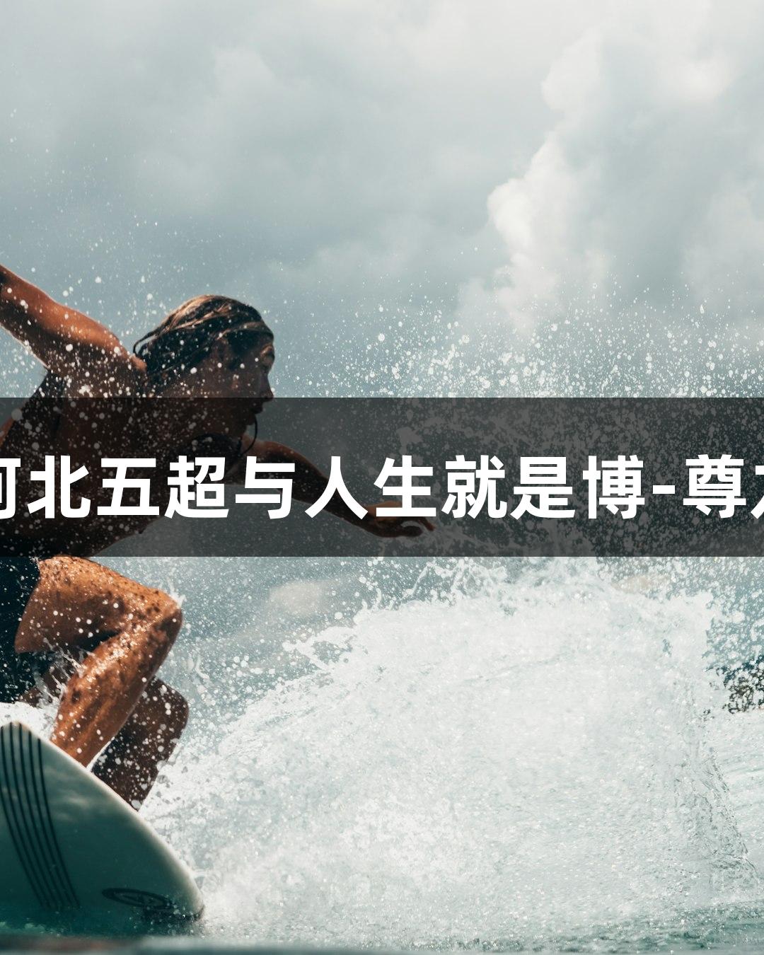 老友重聚，尽享河北五超与人生就是博-尊龙凯时的精彩时刻