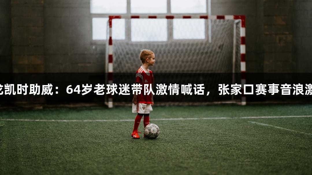 尊龙凯时助威：64岁老球迷带队激情喊话，张家口赛事音浪激荡！