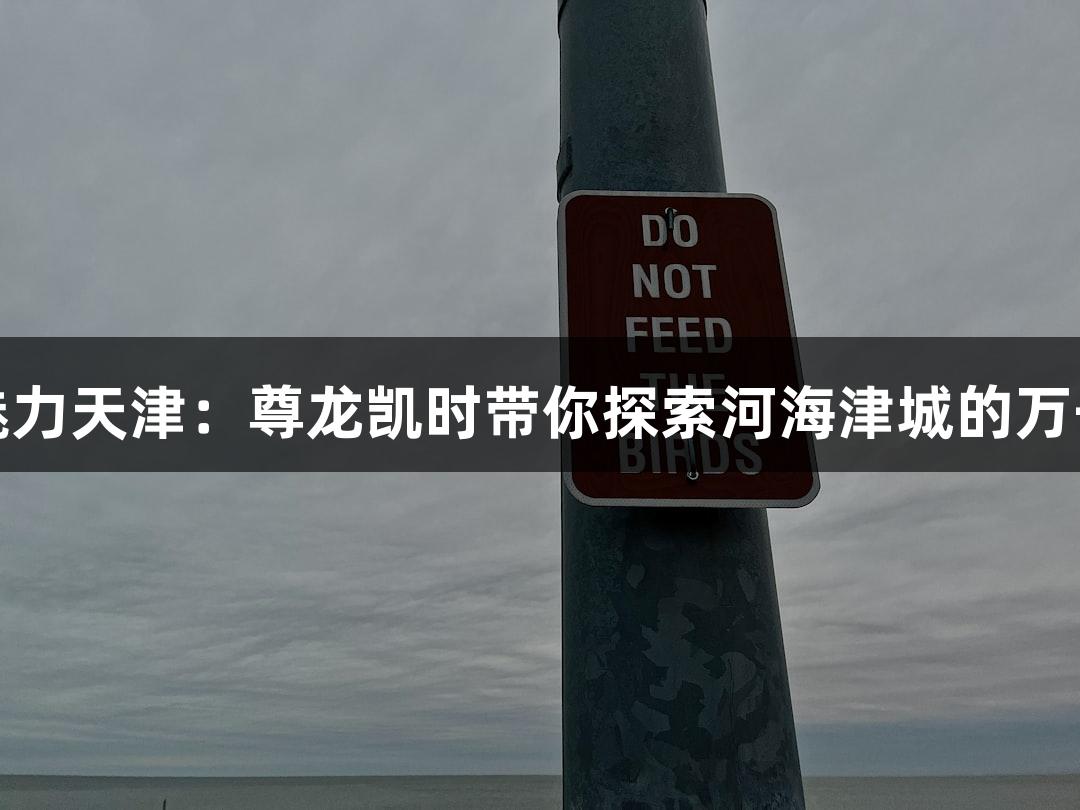 邂逅魅力天津：尊龙凯时带你探索河海津城的万千气象