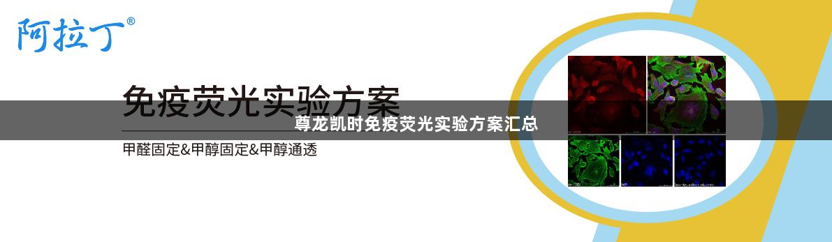 尊龙凯时免疫荧光实验方案汇总