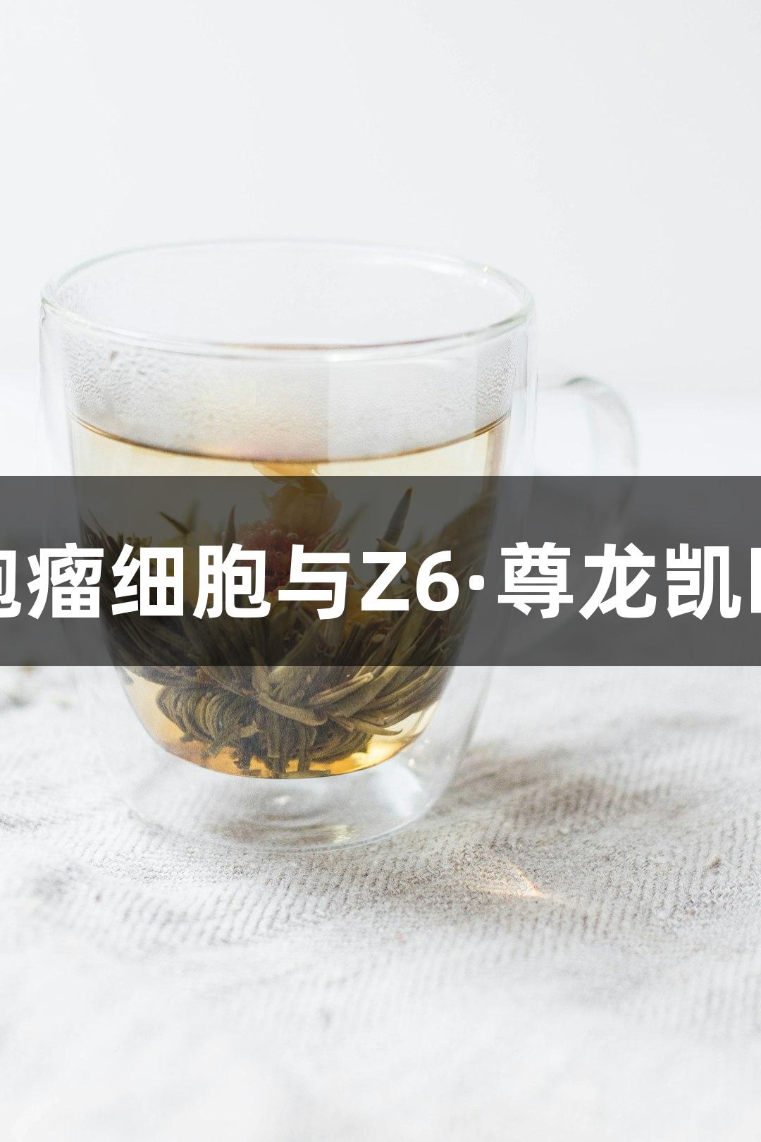 人脑髓母细胞瘤细胞与Z6·尊龙凯时的研究进展