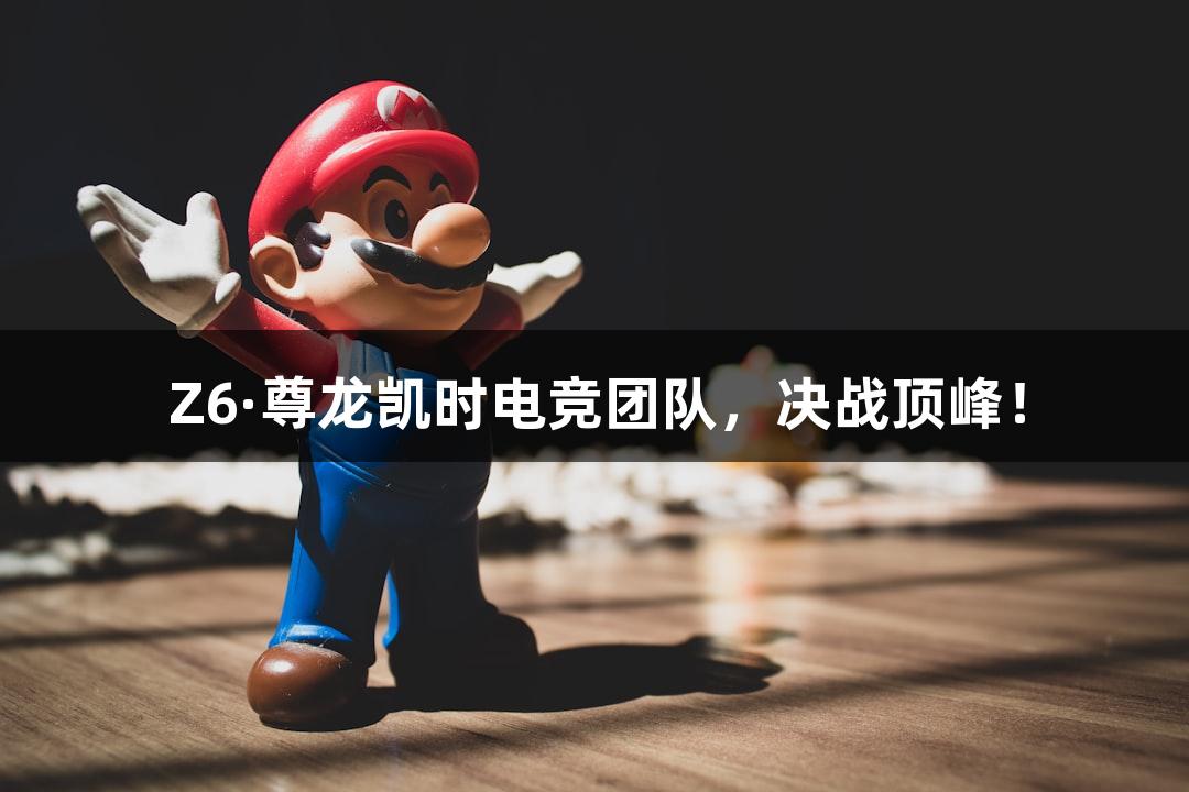 Z6·尊龙凯时电竞团队，决战顶峰！