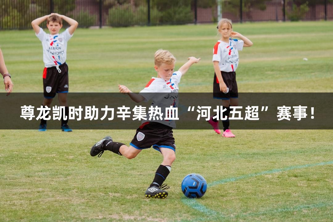 尊龙凯时助力辛集热血“河北五超”赛事！