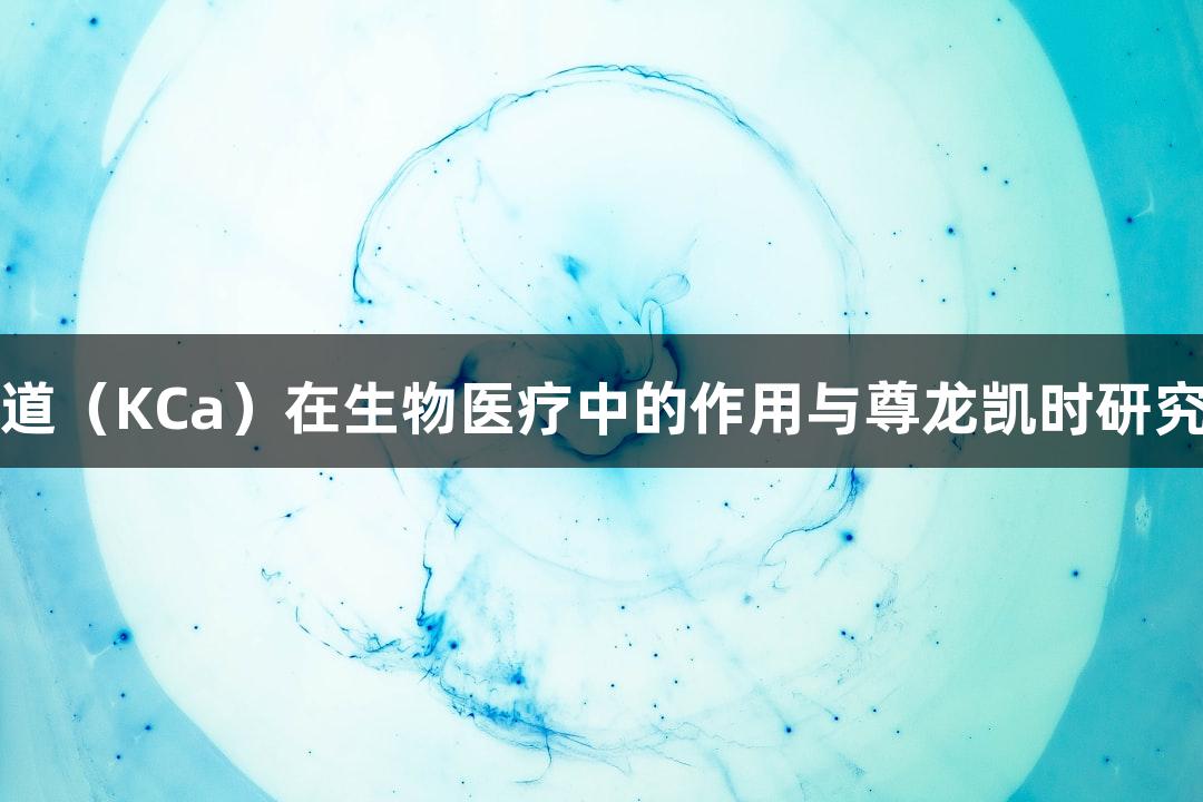 钙激活钾通道（KCa）在生物医疗中的作用与尊龙凯时研究工具的应用