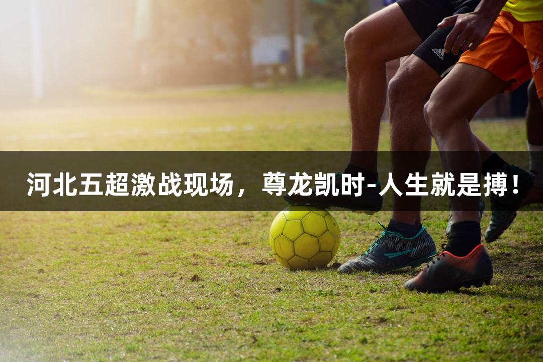 河北五超激战现场，尊龙凯时-人生就是搏！