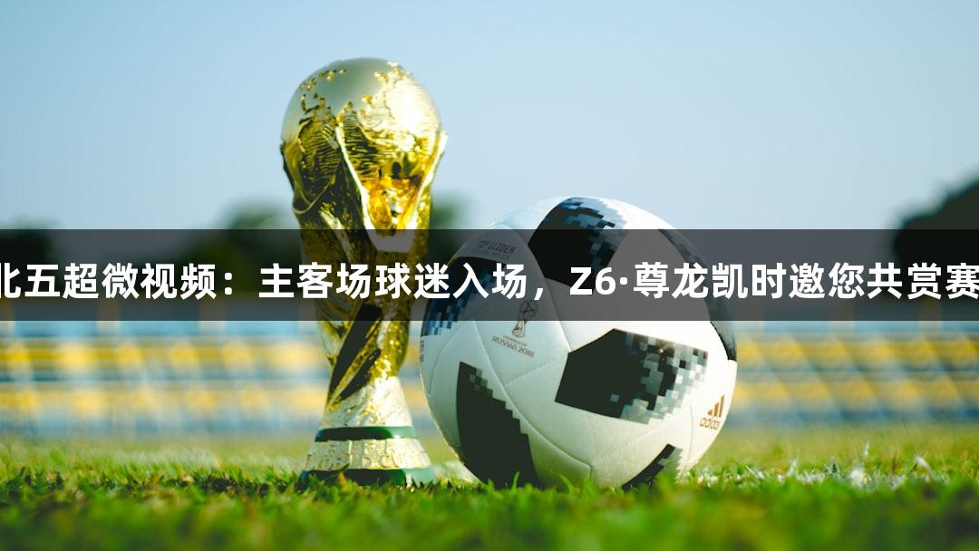 河北五超微视频：主客场球迷入场，Z6·尊龙凯时邀您共赏赛事！