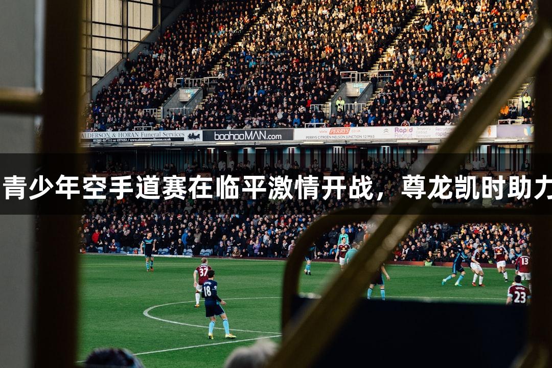 亚洲14国青少年空手道赛在临平激情开战，尊龙凯时助力精彩瞬间