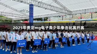 2025年贵定mg电子青少年拳击比赛开赛