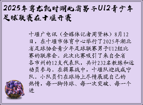 2025年尊龙凯时湖北省男子U12青少年足球联赛在十堰开赛