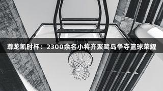 尊龙凯时杯：2300余名小将齐聚鹭岛争夺篮球荣耀