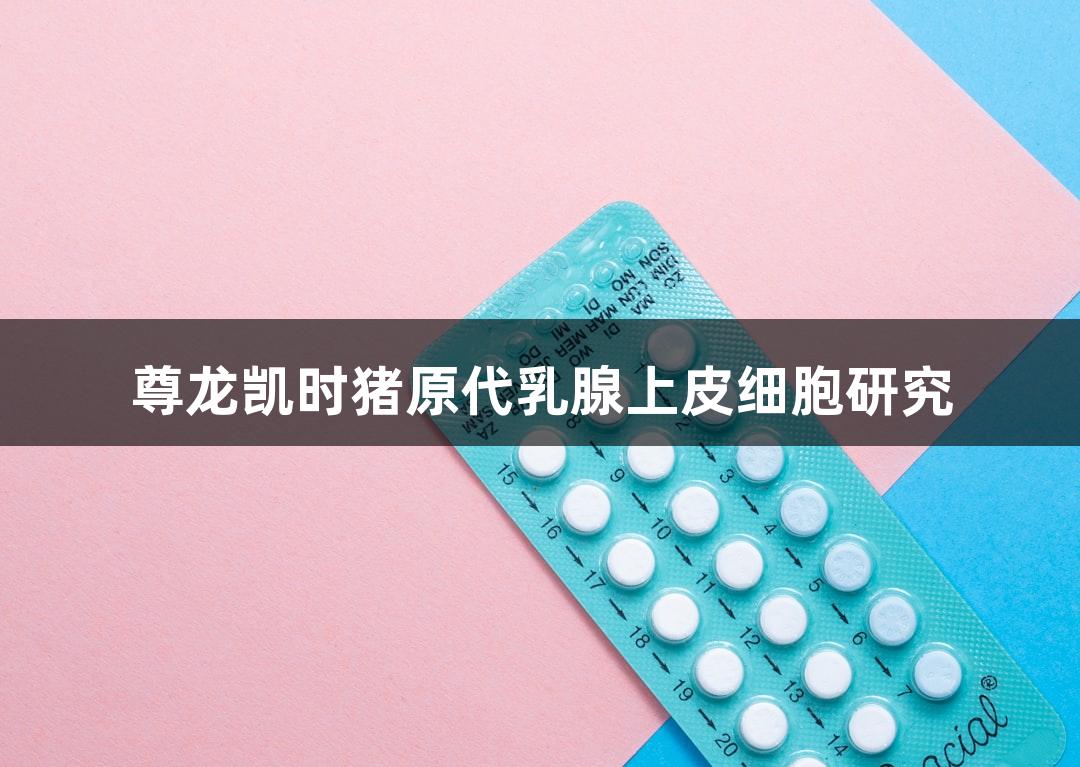 尊龙凯时猪原代乳腺上皮细胞研究
