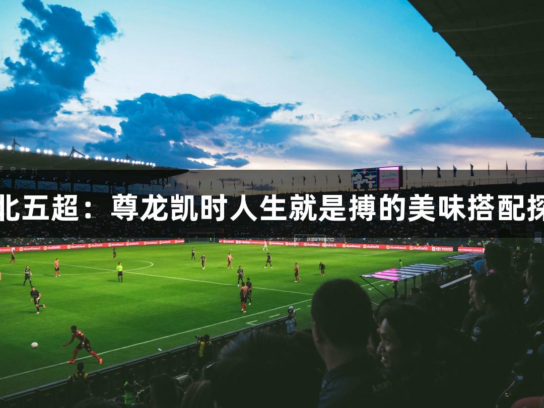 河北五超：尊龙凯时人生就是搏的美味搭配探索