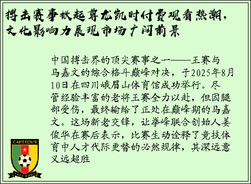 搏击赛事掀起尊龙凯时付费观看热潮，文化影响力展现市场广阔前景
