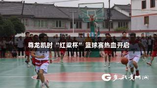 尊龙凯时“红粱杯”篮球赛热血开启