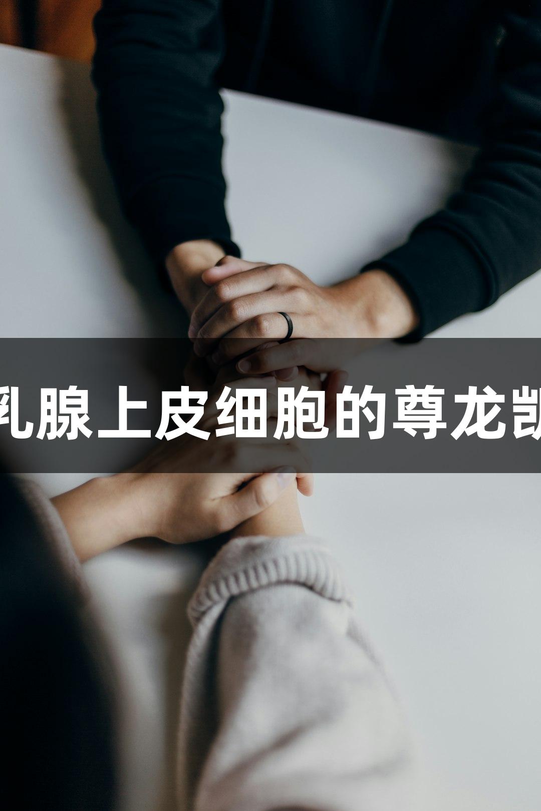 猪原代乳腺上皮细胞的尊龙凯时研究