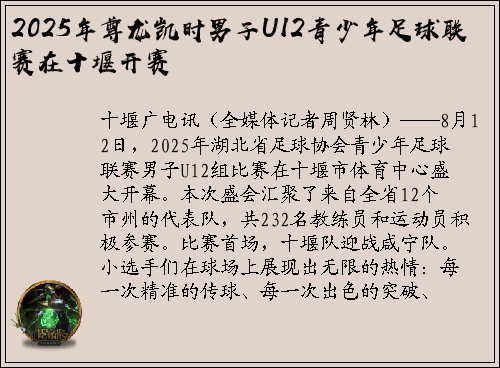 2025年尊龙凯时男子U12青少年足球联赛在十堰开赛