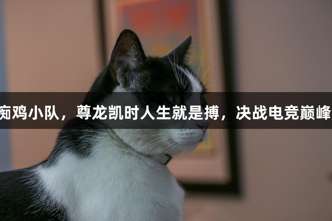 痴鸡小队，尊龙凯时人生就是搏，决战电竞巅峰！