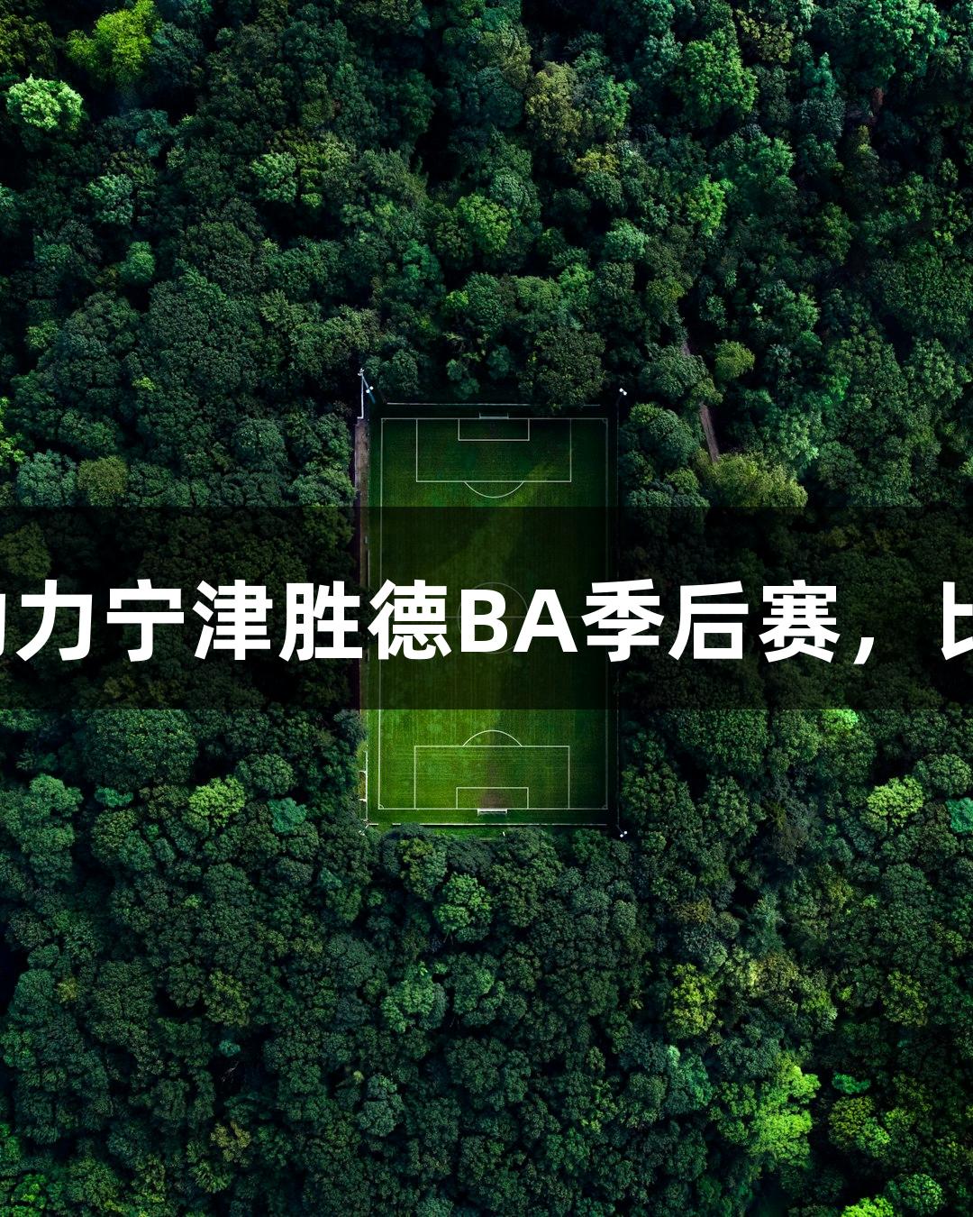 反转再反转！尊龙凯时助力宁津胜德BA季后赛，比分胶着，现场欢呼不断！