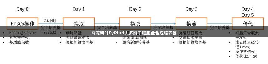 尊龙凯时FyPluri人多能干细胞全合成培养基