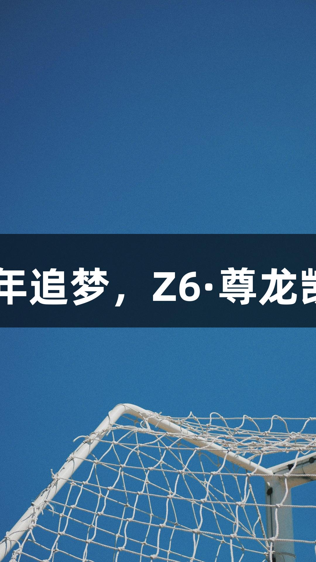 河北五超微视频：29年追梦，Z6·尊龙凯时陪伴你我的足球路
