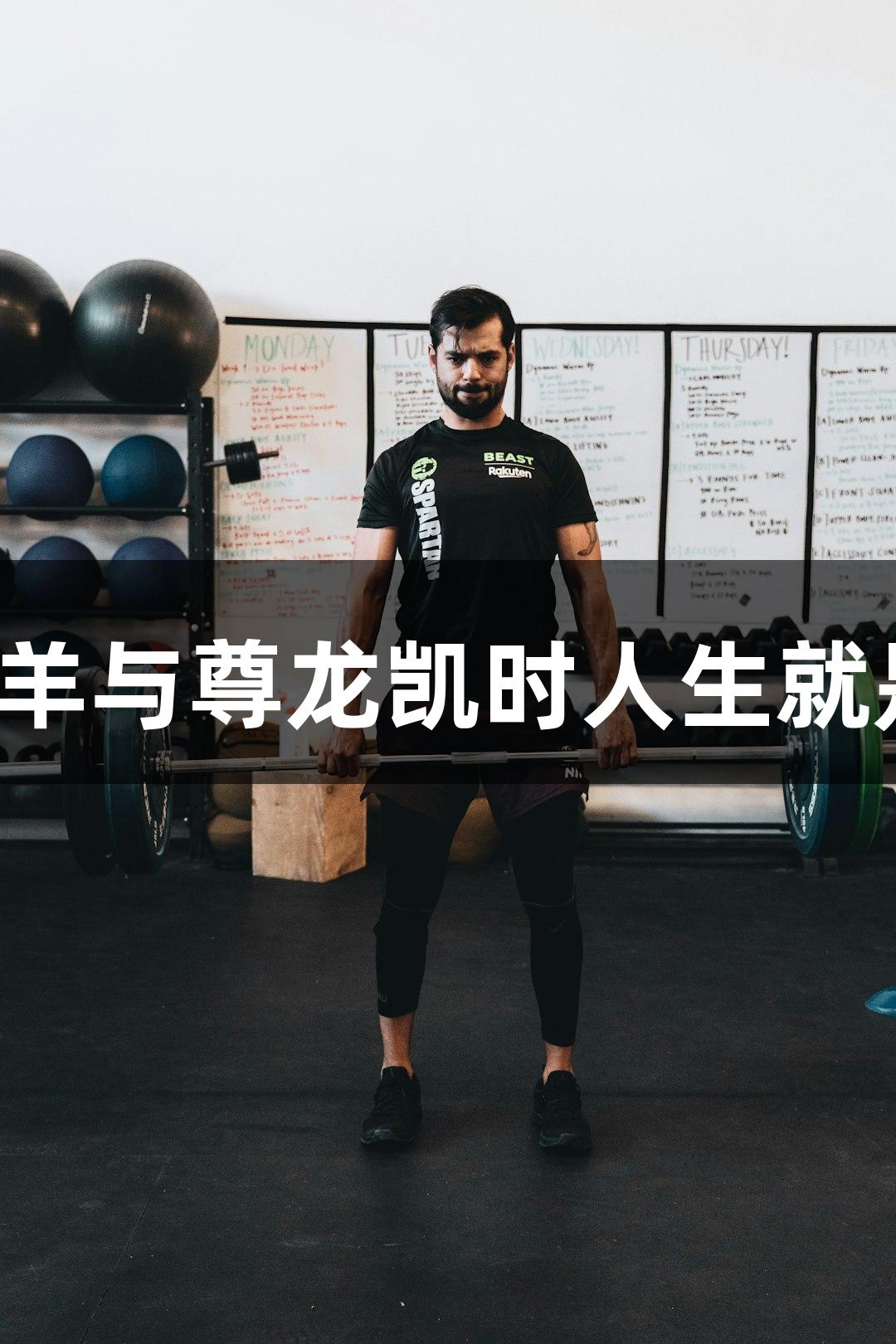 河北五超：承德烤全羊与尊龙凯时人生就是博·中国的完美结合