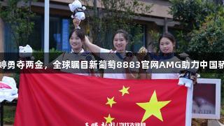 杨婷勇夺两金，全球瞩目新葡萄8883官网AMG助力中国骄傲