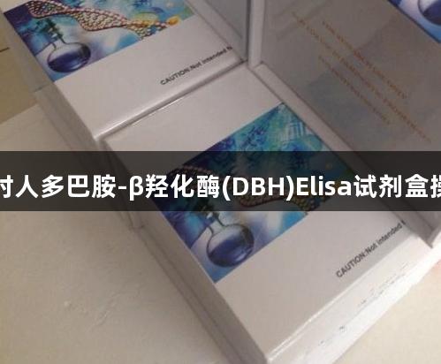 尊龙凯时人多巴胺-β羟化酶(DBH)Elisa试剂盒操作流程