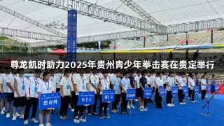 尊龙凯时助力2025年贵州青少年拳击赛在贵定举行