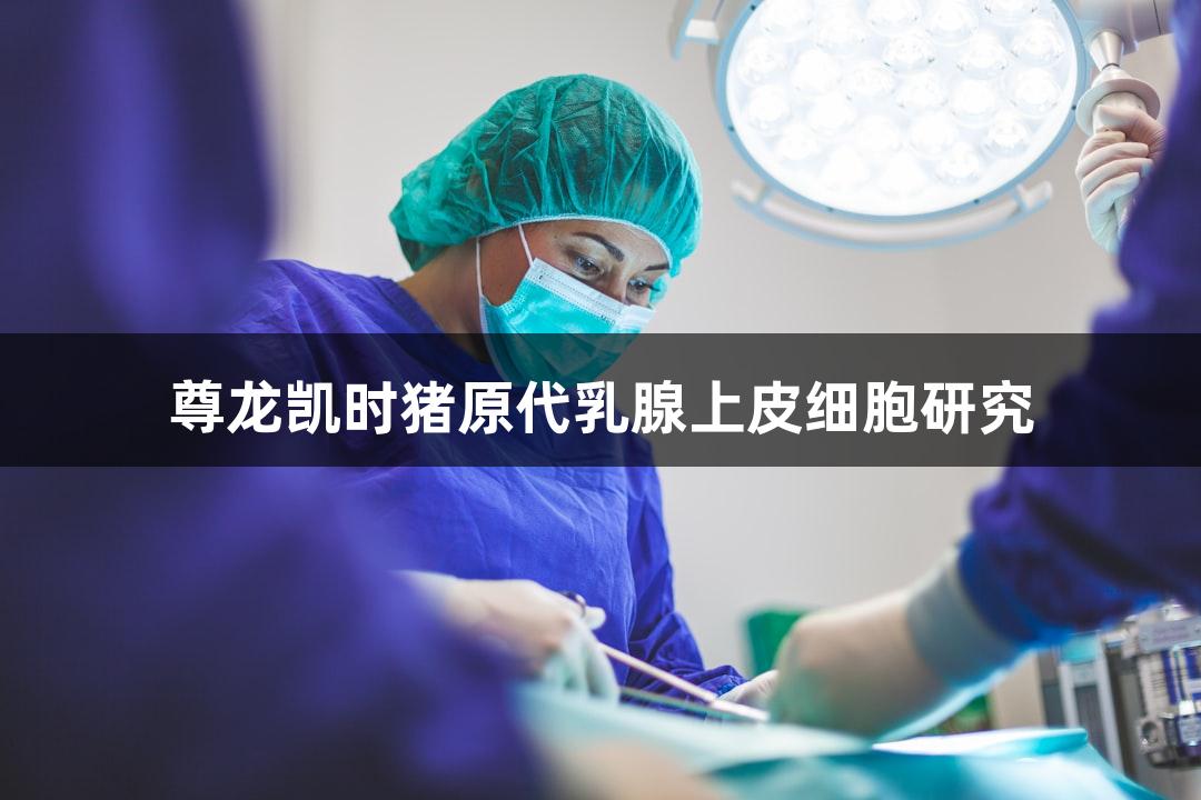 尊龙凯时猪原代乳腺上皮细胞研究