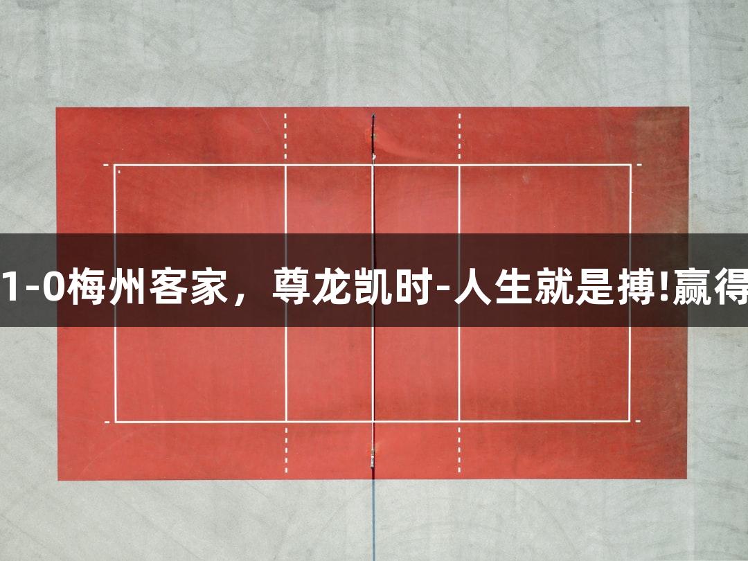 亚泰主场1-0梅州客家，尊龙凯时-人生就是搏!赢得救命三分