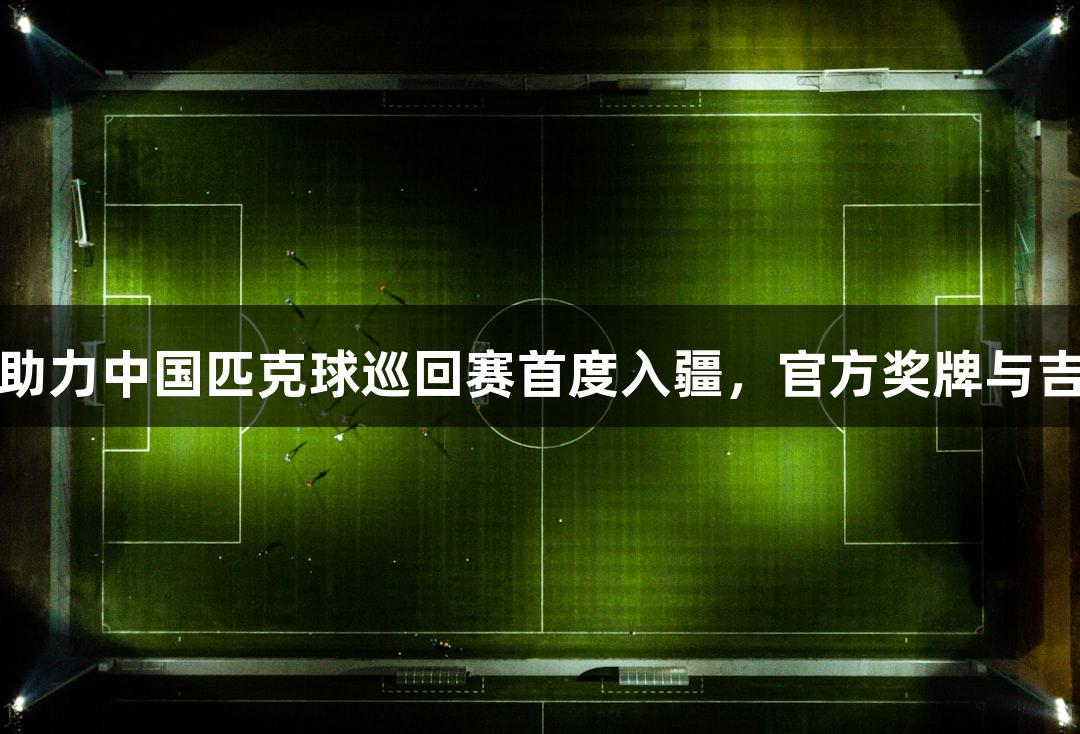 尊龙凯时助力中国匹克球巡回赛首度入疆，官方奖牌与吉祥物揭晓