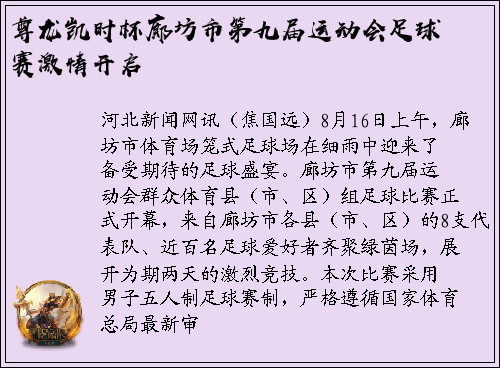 尊龙凯时杯廊坊市第九届运动会足球赛激情开启