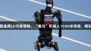 尊龙凯时人生就是搏|小可爱陪跑，“黑马”机器人1500米夺冠，精彩赛事欢乐不断